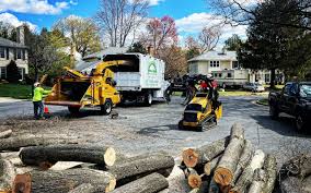 Best Lawn Seeding  in Petersburg, VA