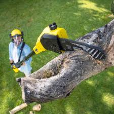 Best Lawn Mowing  in Petersburg, VA