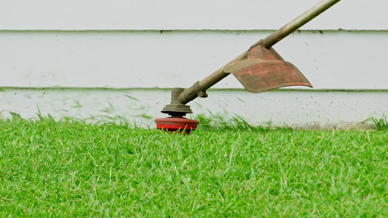 Best Leaf Removal  in Petersburg, VA